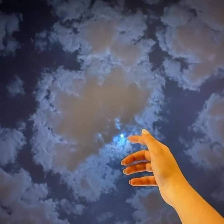 ���� �������_TGrHW